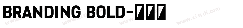 Branding Bold字体转换 Branding Bold字体转换